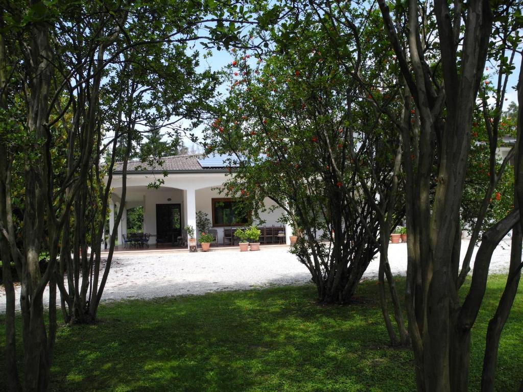 B&B Villa Mianiシレーア エクステリア 写真